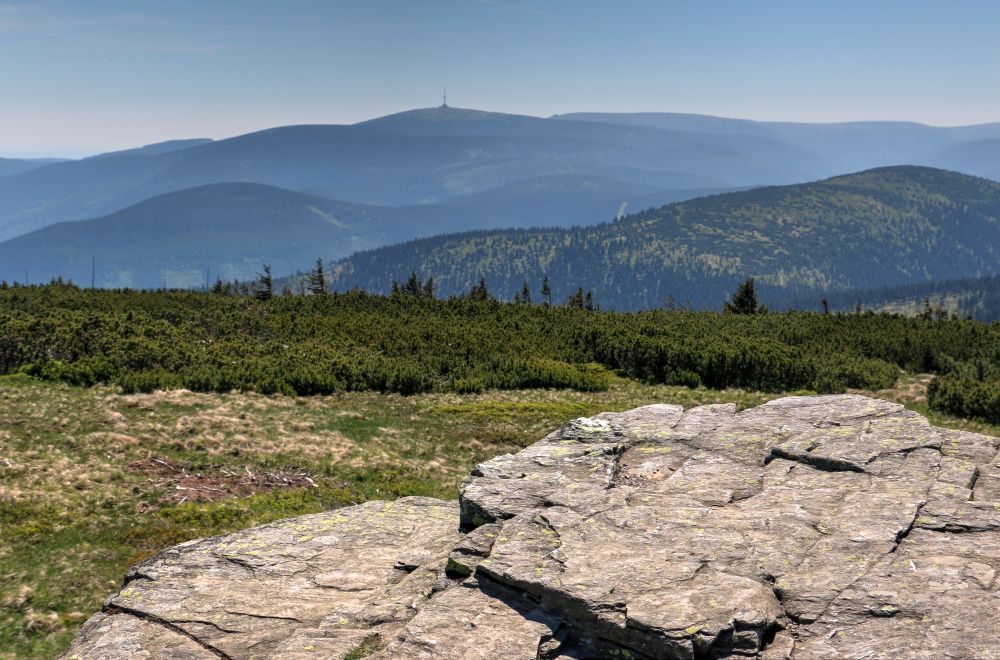 Jeseníky a Rychleby